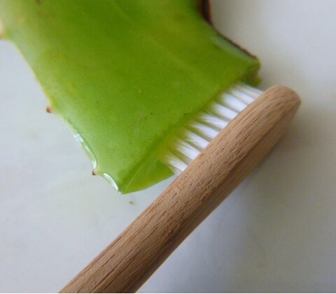 Aloe Vera per i denti, è consigliato?